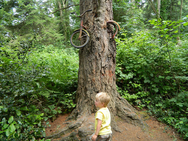 The famous bike in a tree!
