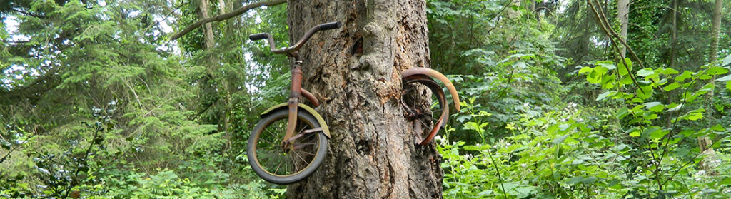 bike in a tree