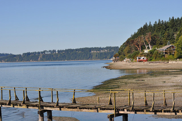 shore
