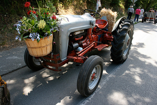 strawberry festival